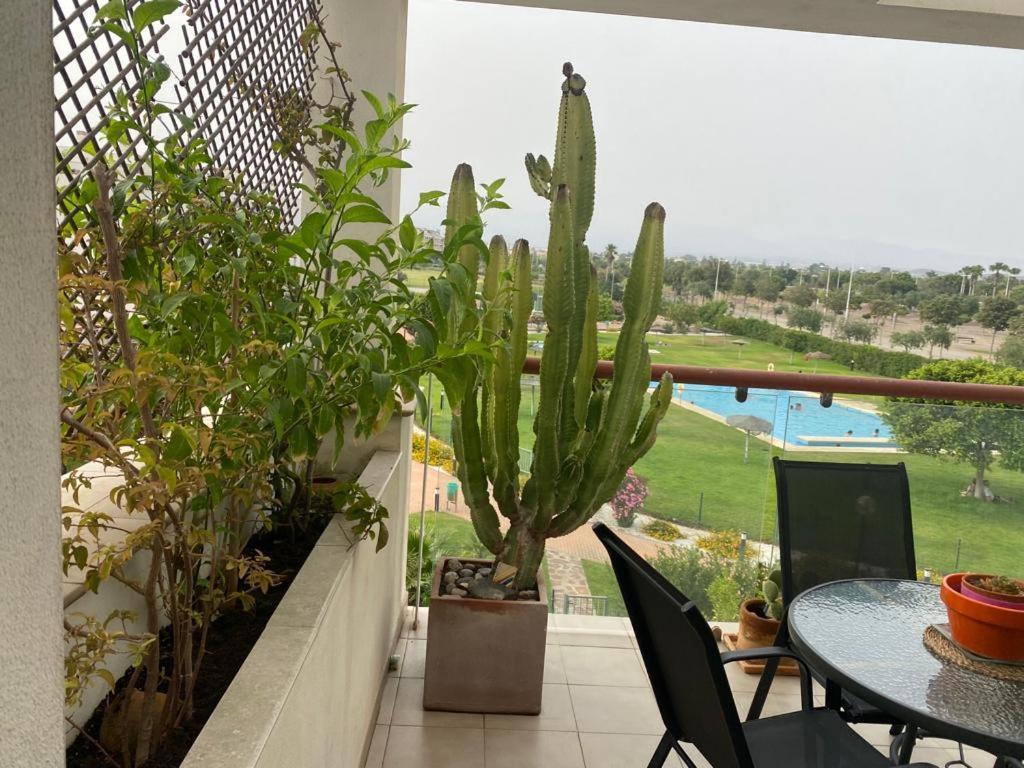 Apartamento Cabo De Gata-Toyo Apartment Retamar  Ngoại thất bức ảnh